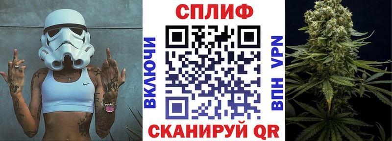 Канабис Bruce Banner Цоци-Юрт